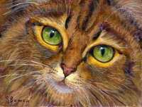Custom cat portrait painting by Connie Bowen of a close-up of green cat eyes for this orange long-haired tabby