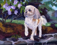 Dog Painting by Connie Bowen of Junior, an adorable Lhaso Apso bundle of love.  Lhaso Apsos are so sweet and cuddly!